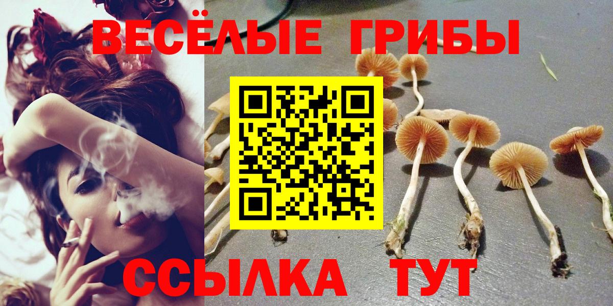 Россия  Галлюциногенные грибы мицелий  Вход с VPN 